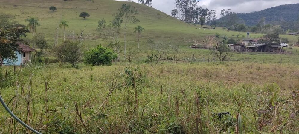 Terreno - Foto 2