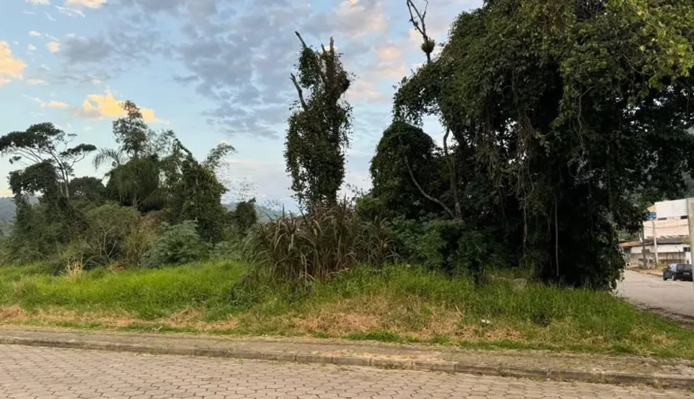 Terreno - Foto 4