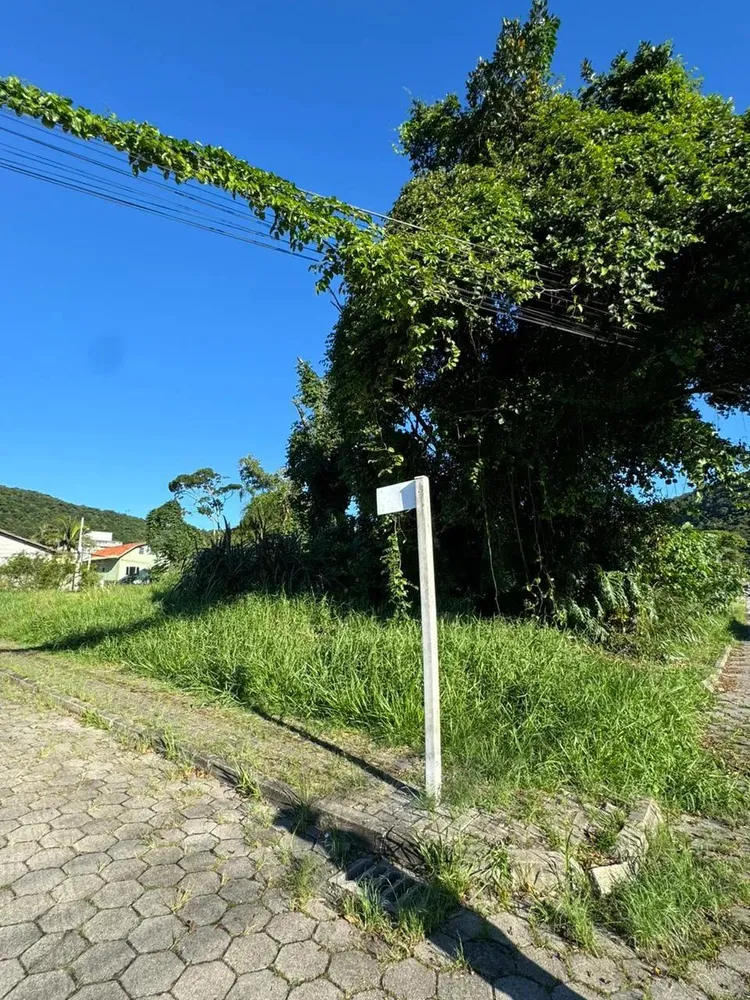Terreno - Foto 6