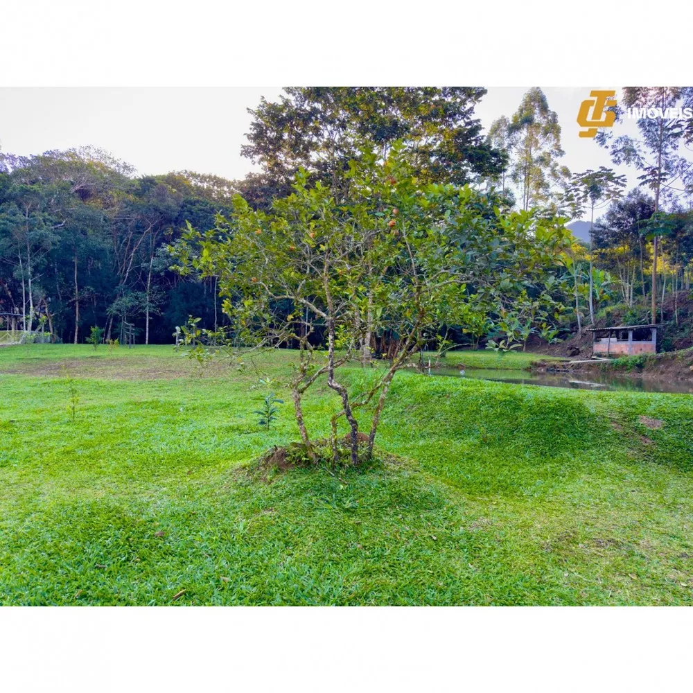 Fazenda à venda com 3 quartos, 5000m² - Foto 4