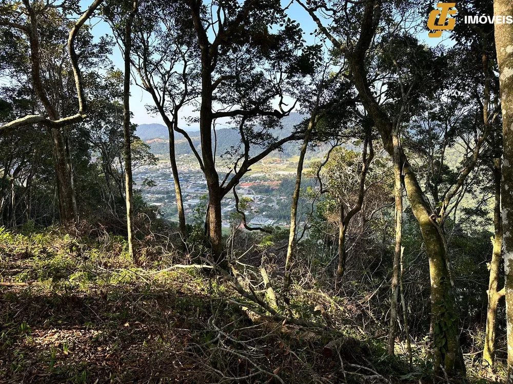 Terreno à venda, 1500m² - Foto 4