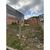 Terreno, 170 m² - Foto 3