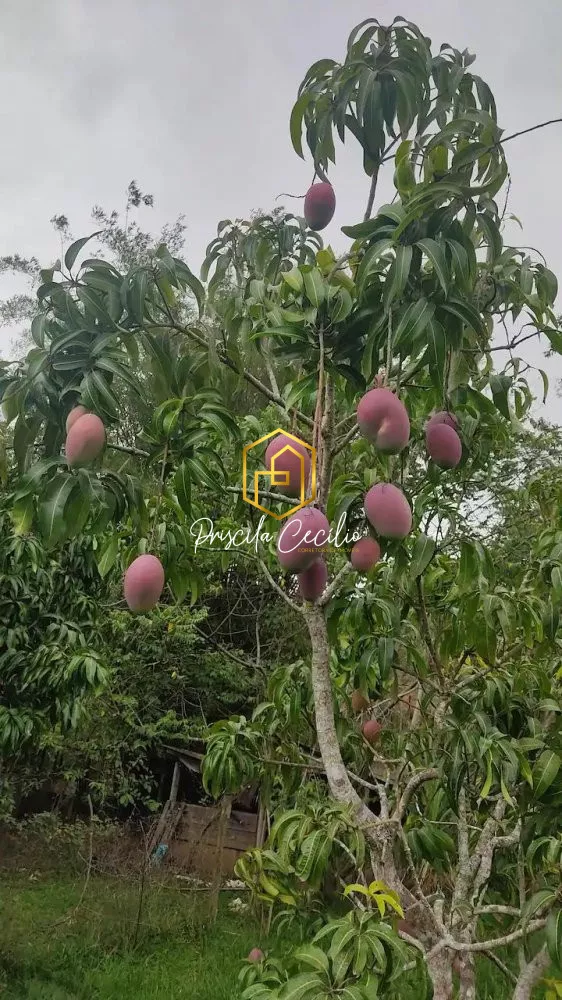 Chácara, 3 quartos, 5000 m² - Foto 19