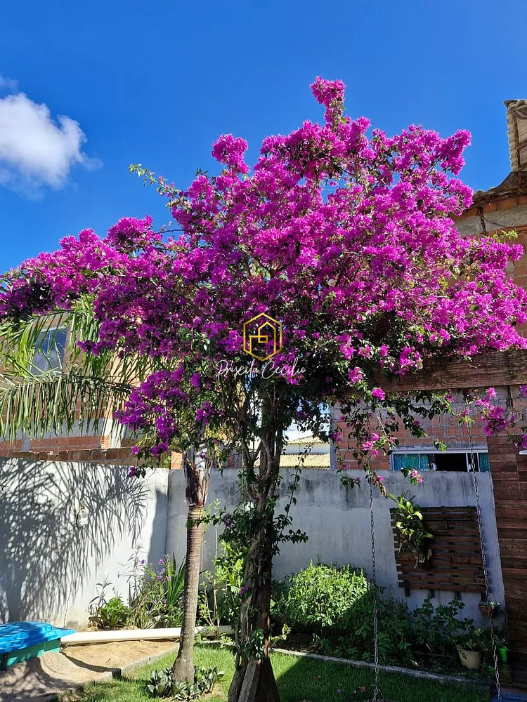 Casa, 2 quartos, 300 m² - Foto 21