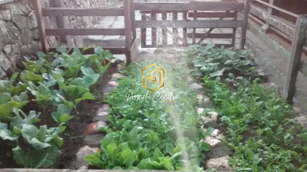 Sítio, 3 quartos, 6 hectares - Foto 5