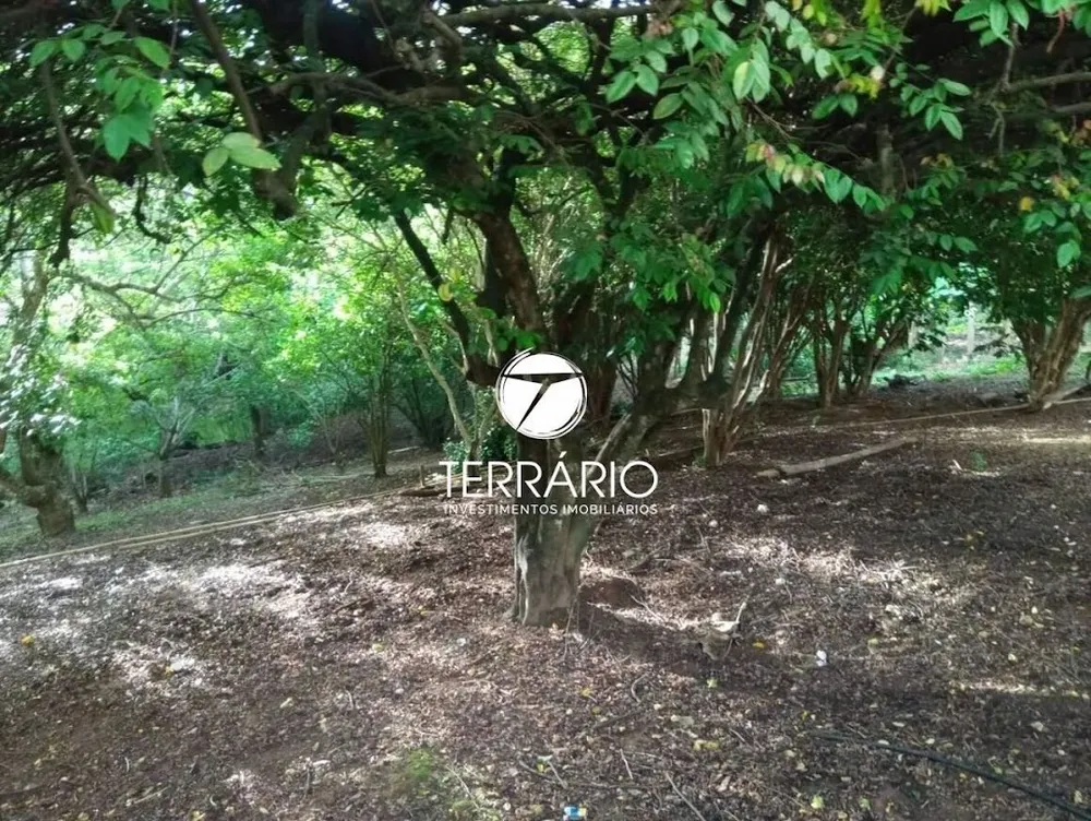 Sítio, 6 quartos, 3 m² - Foto 1