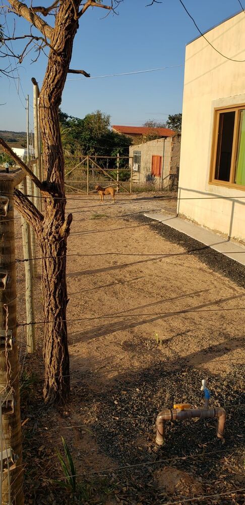 Chácara, 3 quartos, 1800 m² - Foto 11