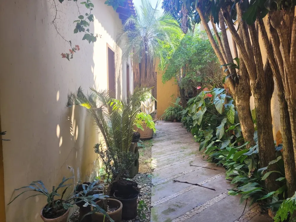 Casa, 4 quartos, 980 m² - Foto 6