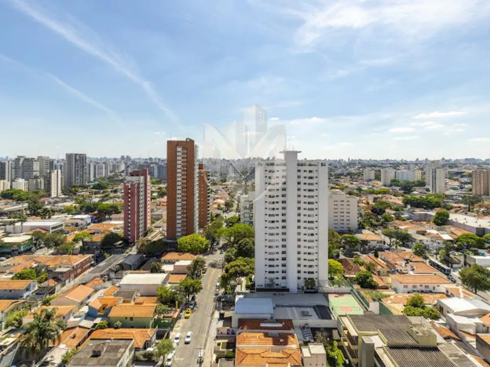 Cobertura, 4 quartos, 440 m² - Foto 7