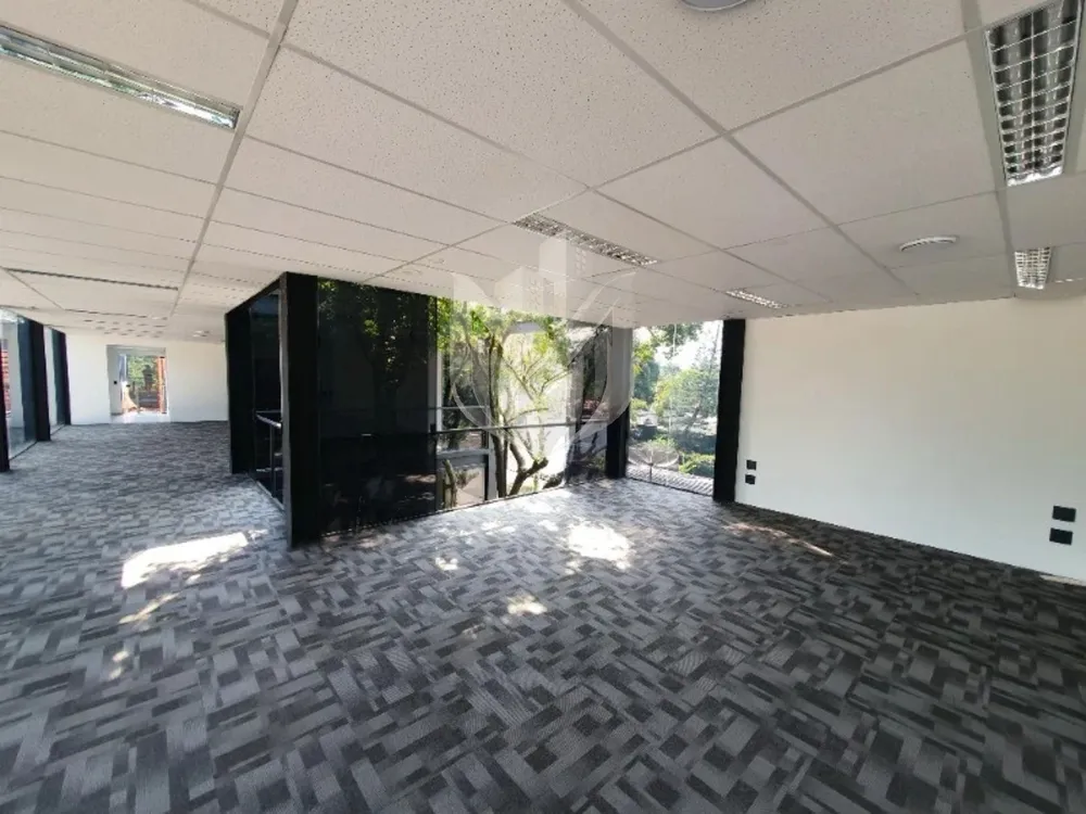 Loja-Salão, 725 m² - Foto 3