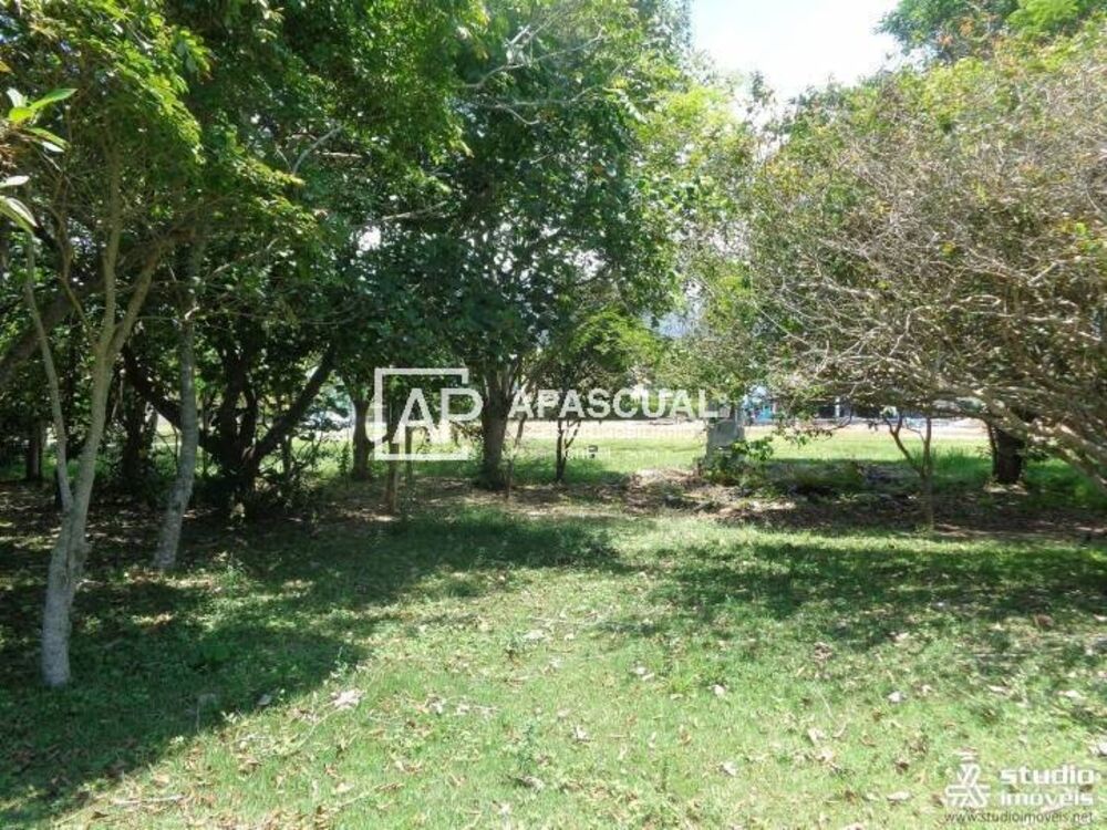 Terreno, 1736 m² - Foto 1