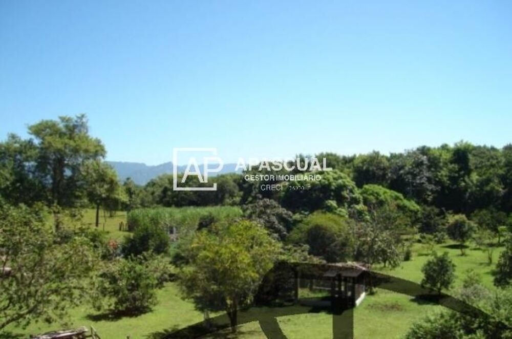 Sítio, 4 quartos, 3 m² - Foto 10