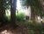 Terreno, 700 m² - Foto 2