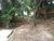 Terreno, 700 m² - Foto 4