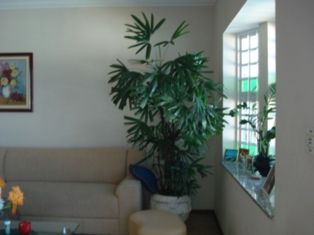 Casa, 3 quartos, 180 m² - Foto 4