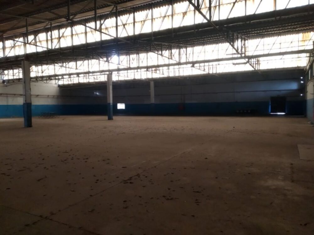 Depósito-Galpão - Foto 19
