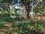 Terreno, 3000 m² - Foto 4