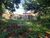 Terreno, 3000 m² - Foto 3