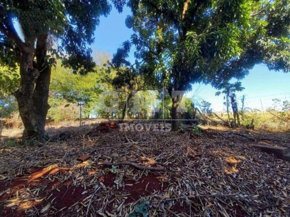 Casa, 4 quartos, 1500 m² - Foto 24