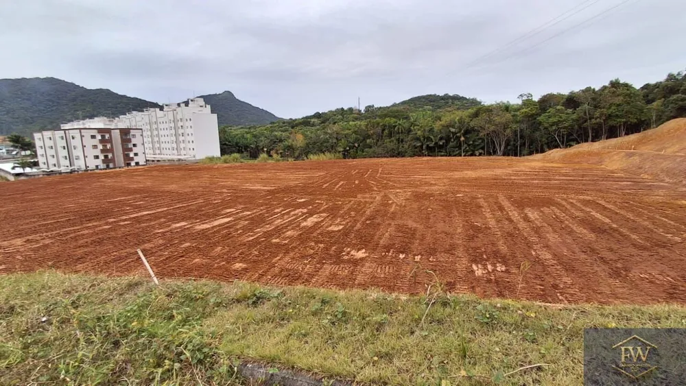 Terreno, 1 hectares - Foto 3