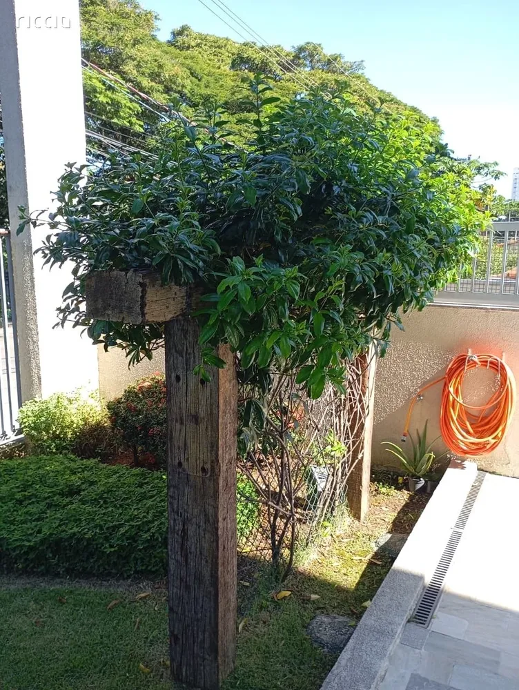 Apartamento, 3 quartos, 80 m² - Foto 4