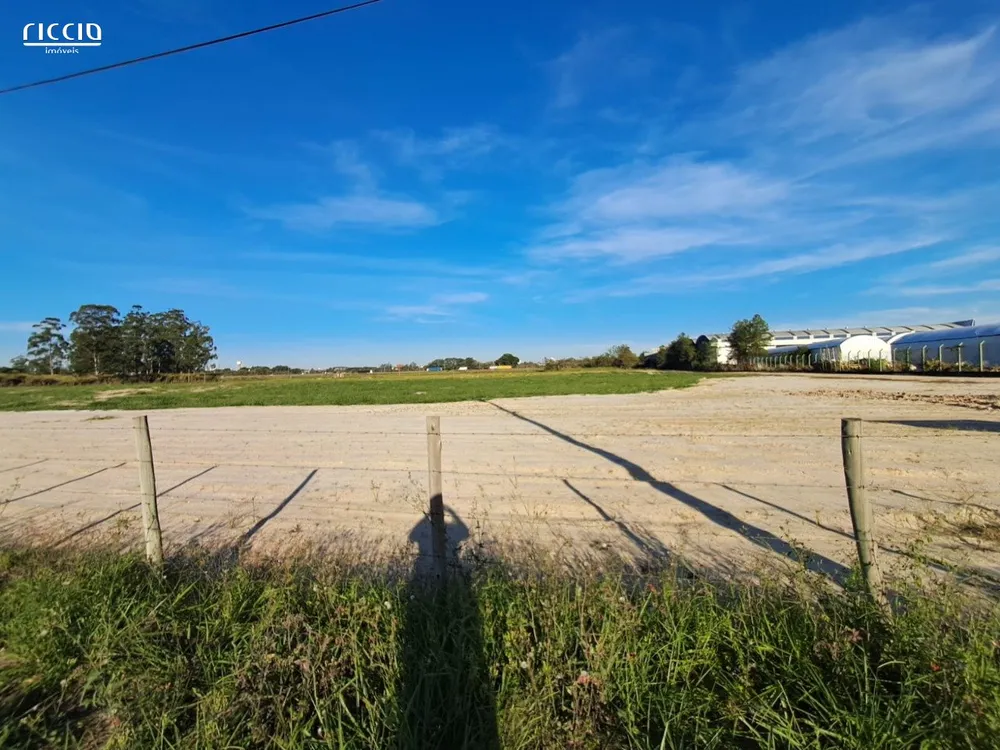 Terreno, 16 hectares - Foto 3
