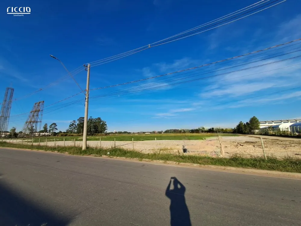 Terreno, 16 hectares - Foto 4