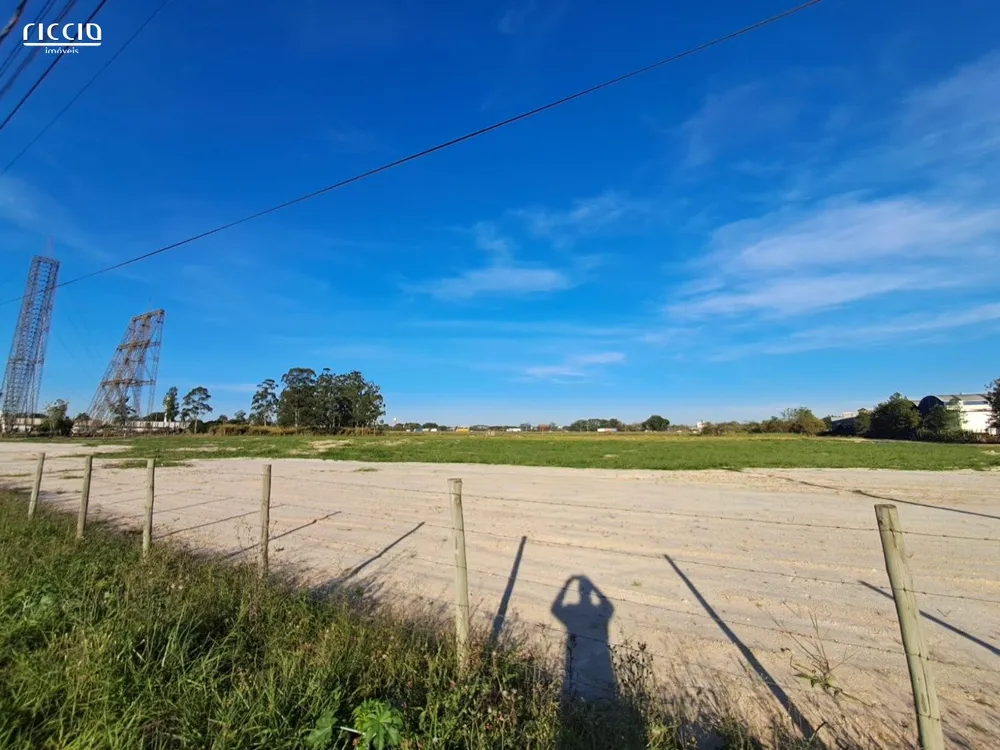 Terreno, 16 hectares - Foto 4