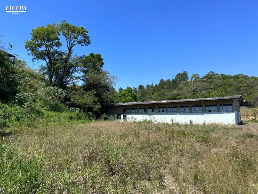 Terreno, 8197 m² - Foto 6