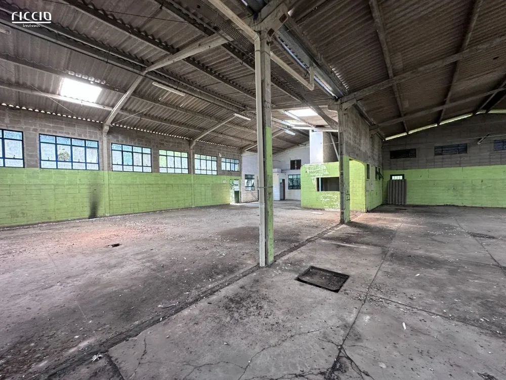 Terreno, 8197 m² - Foto 8
