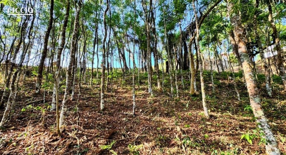 Terreno à venda, 1000m² - Foto 12