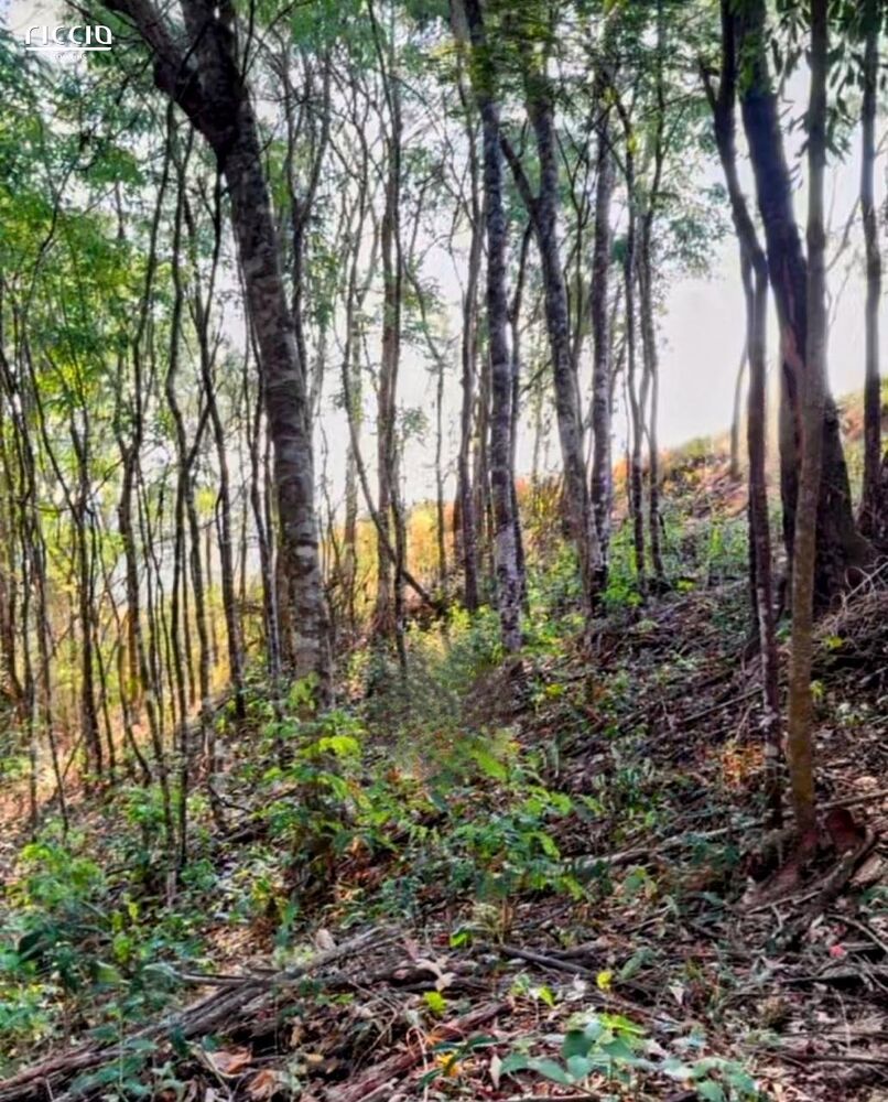 Terreno à venda, 1000m² - Foto 8