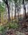 Terreno, 1000 m² - Foto 8