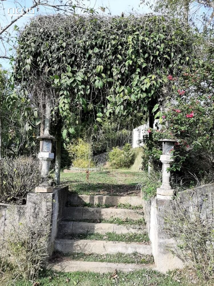 Chácara à venda com 6 quartos, 5000m² - Foto 4
