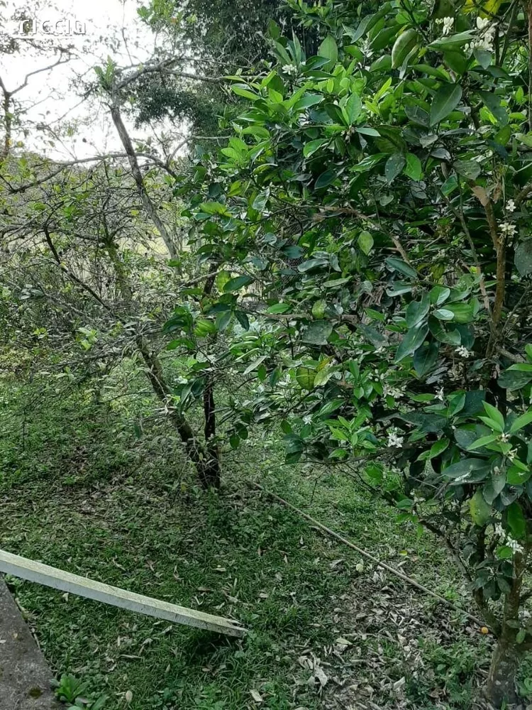 Chácara, 6 quartos, 2 hectares - Foto 1