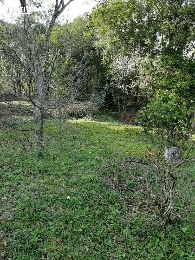 Chácara à venda com 6 quartos, 5000m² - Foto 6