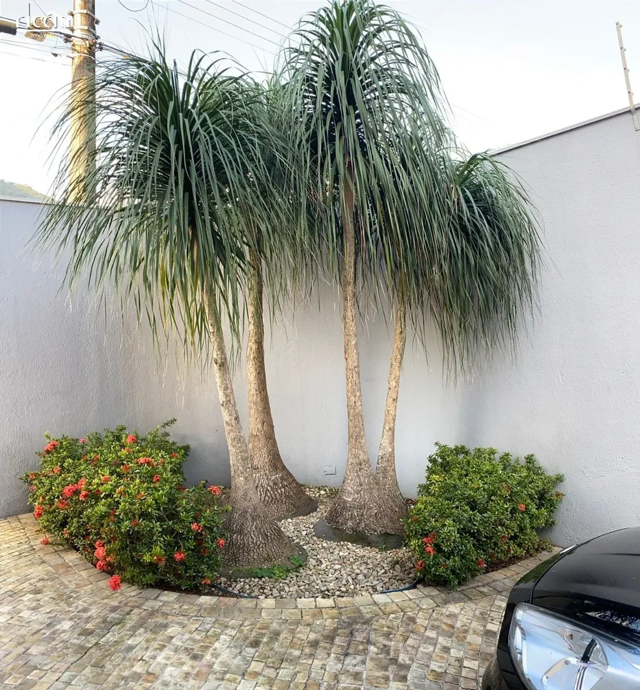 Casa, 3 quartos, 300 m² - Foto 3
