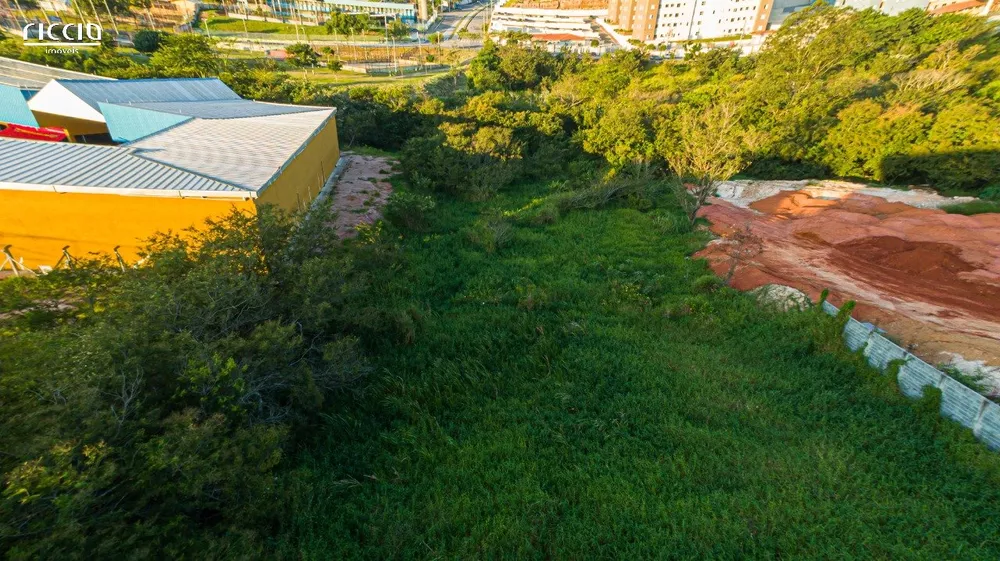 Terreno à venda, 10000m² - Foto 1