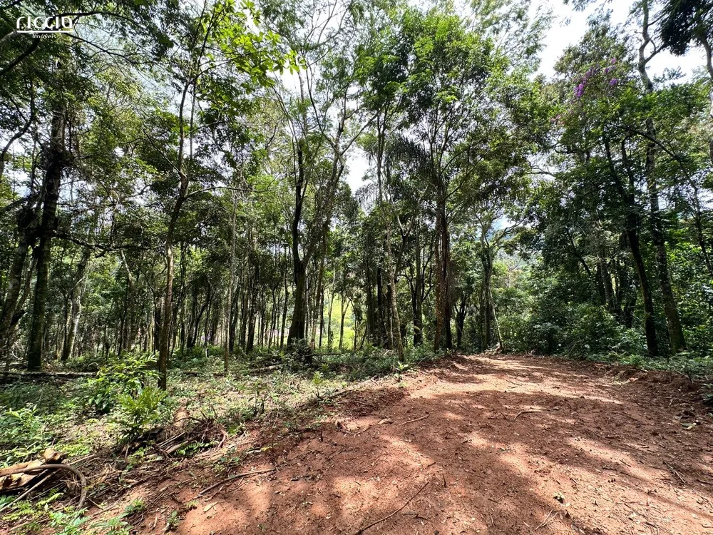 Chácara, 2 hectares - Foto 3
