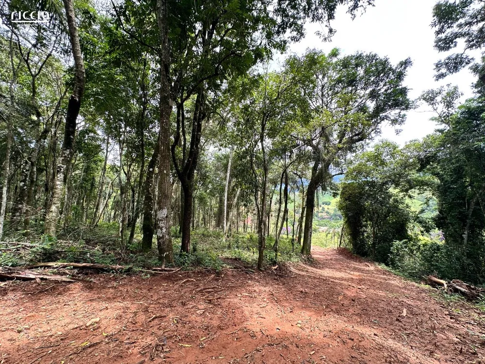 Chácara, 2 hectares - Foto 4
