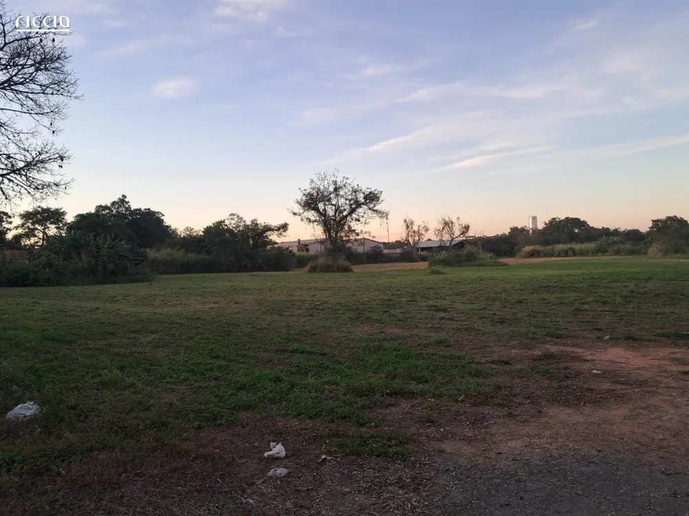Terreno, 3 hectares - Foto 2