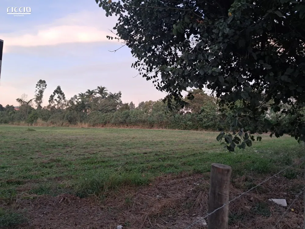 Terreno, 3 hectares - Foto 9