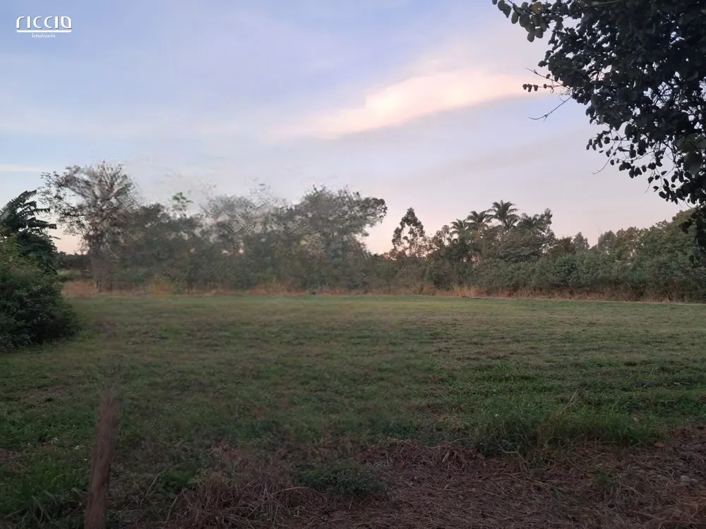 Terreno, 3 hectares - Foto 3