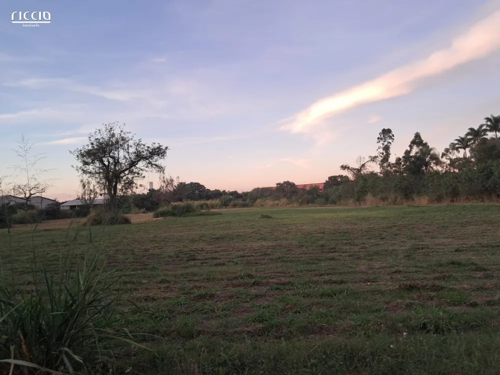 Terreno, 3 hectares - Foto 4