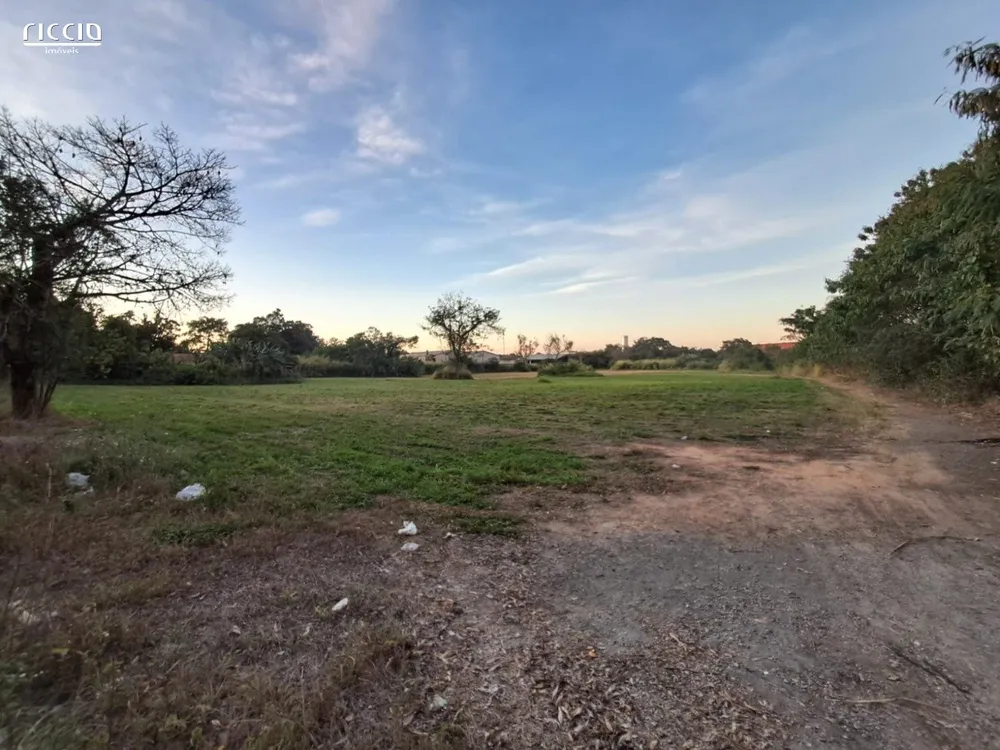 Terreno, 3 hectares - Foto 4