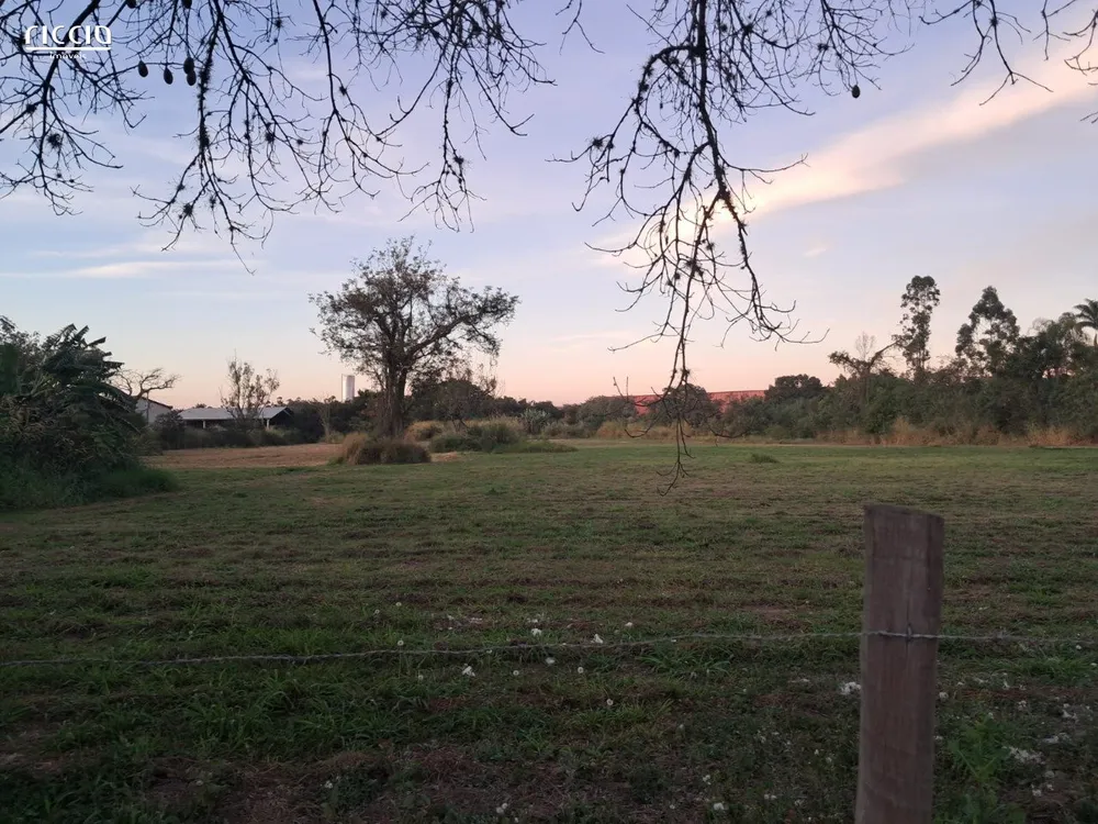 Terreno, 3 hectares - Foto 6