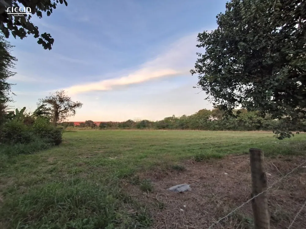 Terreno, 3 hectares - Foto 7