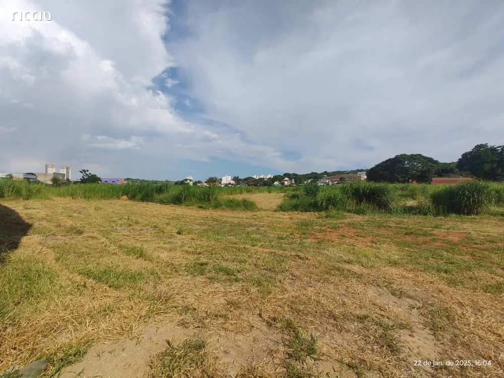 Terreno, 2 hectares - Foto 4