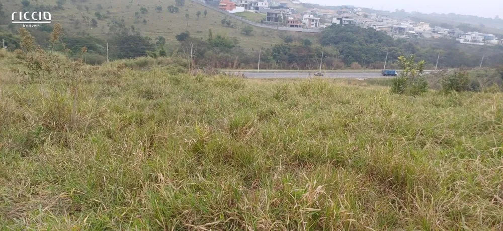 Terreno, 250 m² - Foto 3