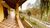 Chácara, 3 quartos, 2 hectares - Foto 4
